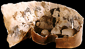 gcp3o2.gif (15396 bytes)